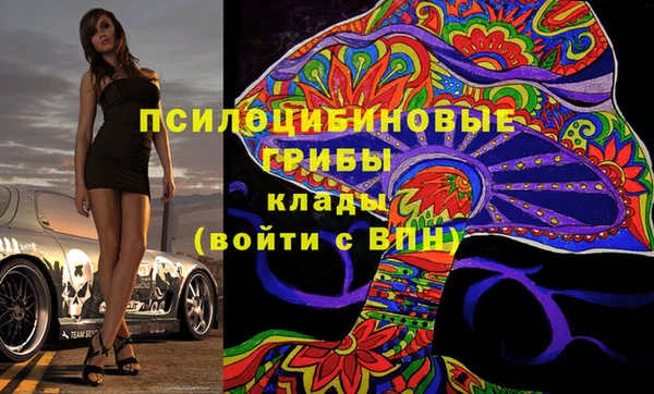 PSILOCYBIN Анжеро-Судженск