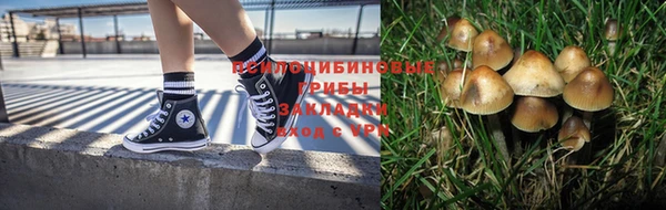 соль ск Надым