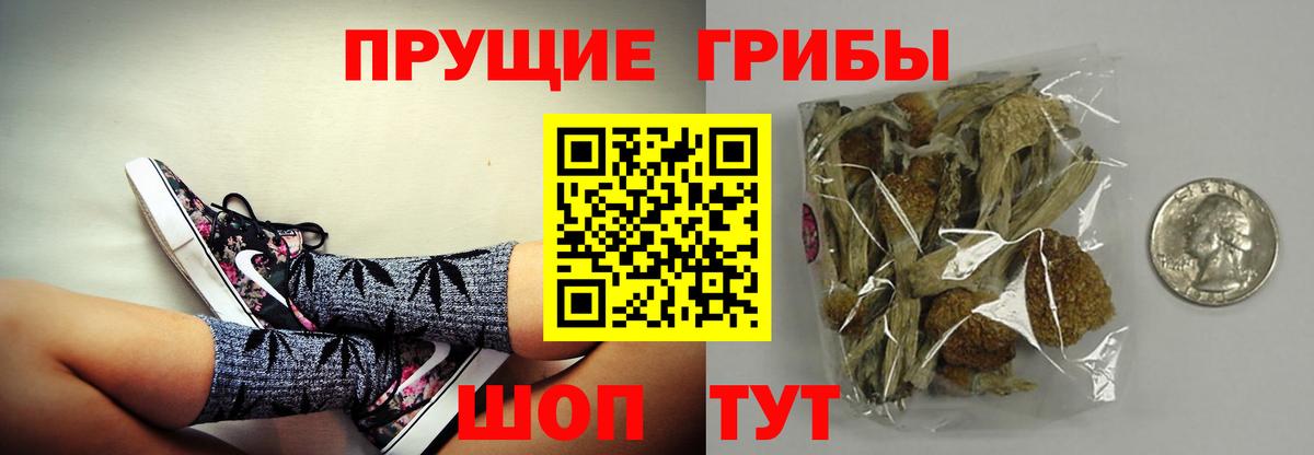 Меф Великий Новгород