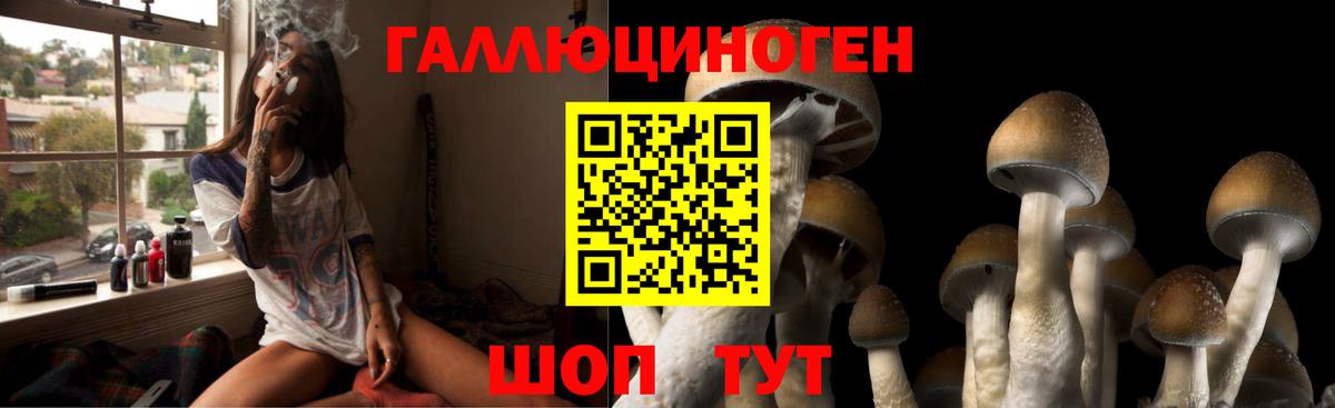 Галлюциногенные грибы мицелий Великий Новгород