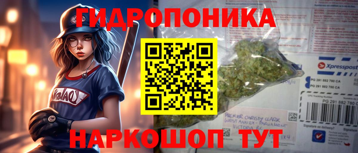 Каннабис сатива  Вход с VPN  Великий Новгород  Канабис SATIVA & INDICA 