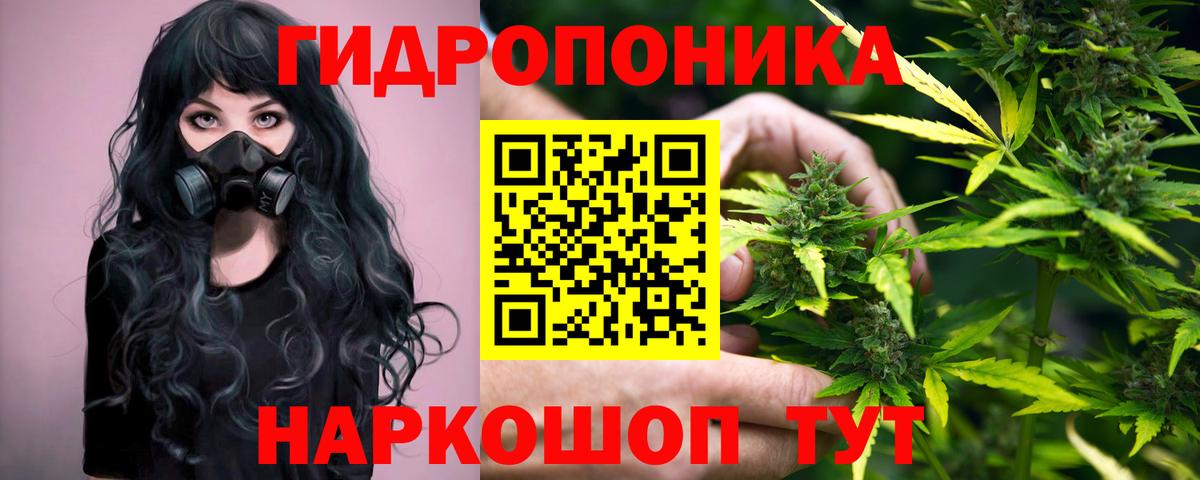 Конопля OG Kush  Великий Новгород  Марихуана OG Kush  Каннабис OG Kush  Каннабис LSD WEED 